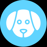 canine