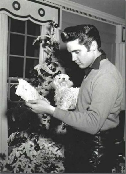 Graceland